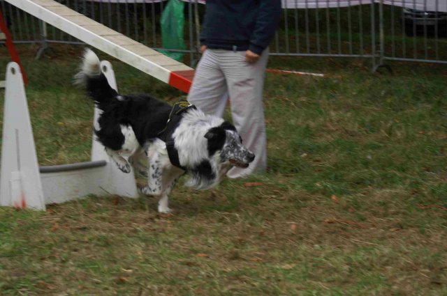 foire-haricots 2011-09-17et18